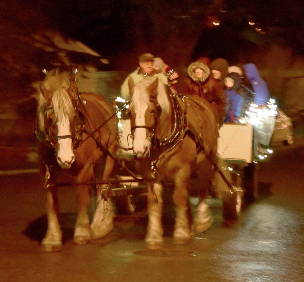 Belgian horses pulled wagonloads of holiday revelers Saturday during Snoqualmies annual holiday festival. (Carol Ladwig/Staff Photo)