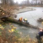 A King County officer goes out on the log to help the woman get back to shore. (Courtesy Photo)