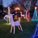 First place in the 2017 Snoqualmie Holiday Lights Contest was the Tarlton home, on Silva Avenue in historic downtown Snoqualmie. (Courtesy Photo)