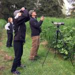Mick Thompson, Eastside Audubon                                Eastside Birders participate in the 2017 Karismatic Kestrels Birdathon. Locals spotted and recorder 109 bird species throughout Eastern Washington during a single day in May.