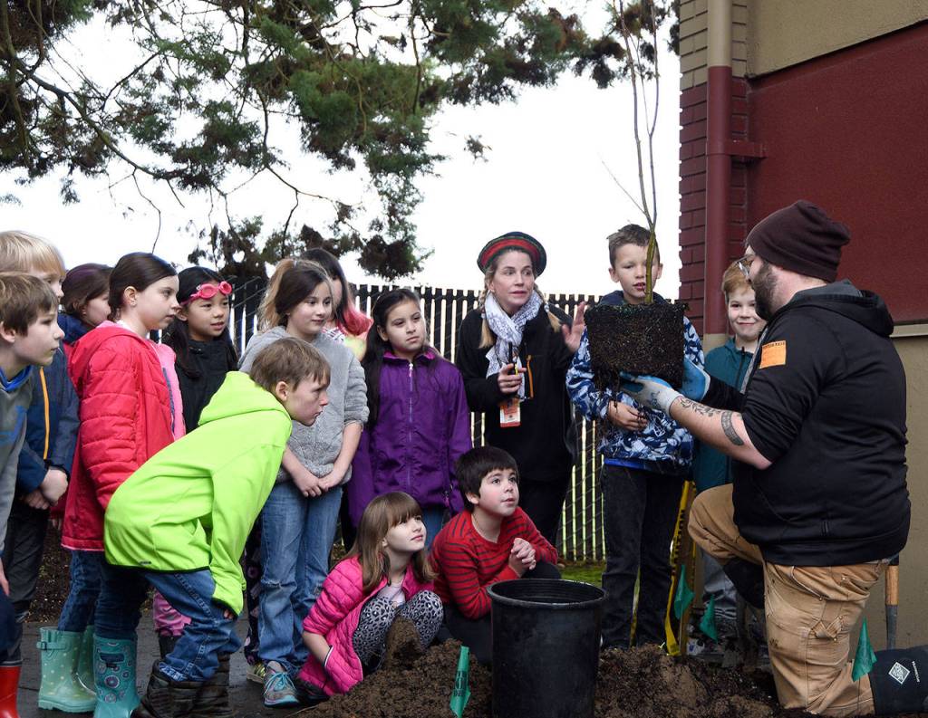 Stewardship Partners restoration crew member Geoff Bough describes to the class how to loosen the soil of a vine maples root ball before planting it. (Carol Ladwig/Staff Photo)