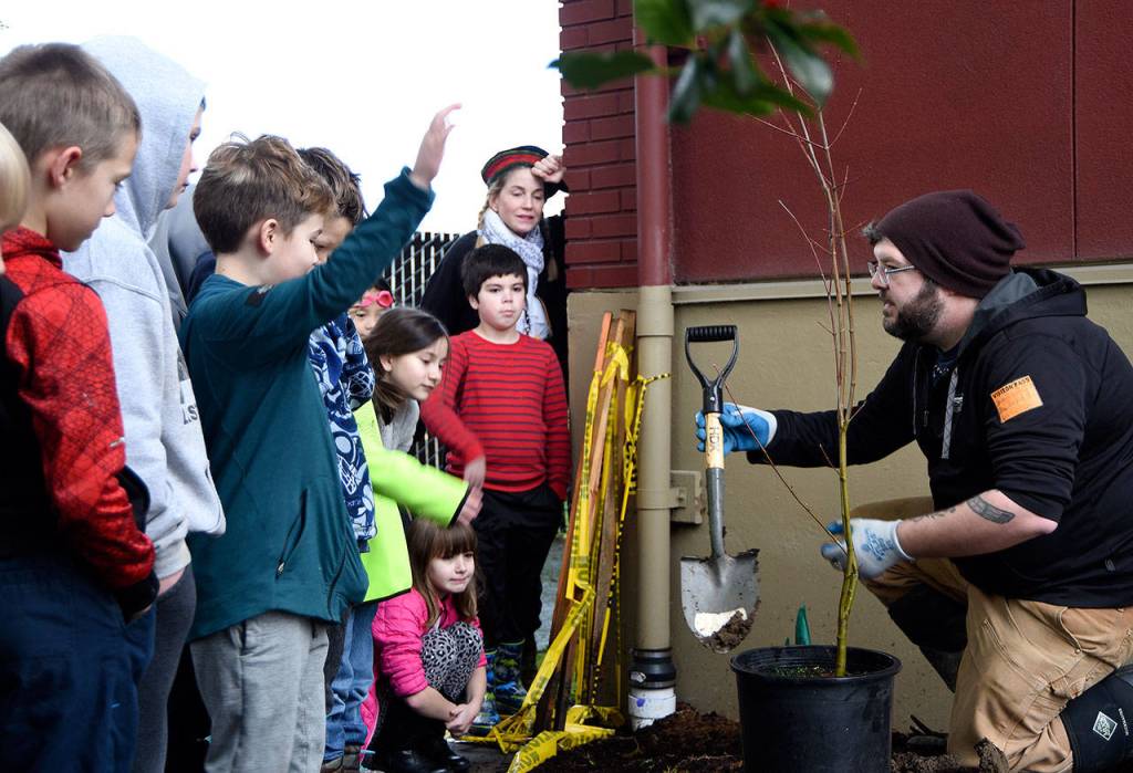 Geoff Bough is swamped with volunteers who want to help dig holes for the new rain garden. (Carol Ladwig/Staff Photo)