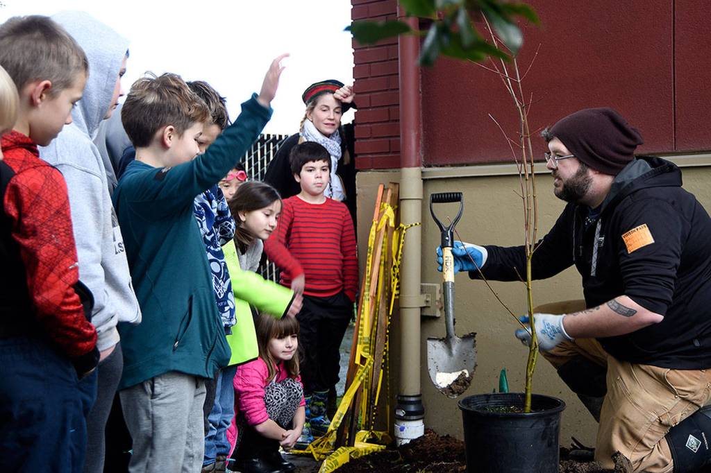 Rain garden project grows ‘citizen scientists’ at Carnation Elementary School
