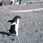 Mount Si student gets short film accepted into Seattle Children’s Film Festival