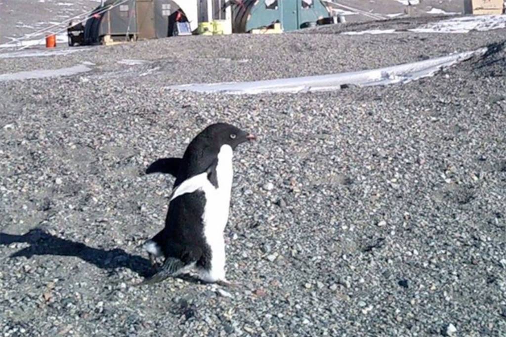 Mount Si student gets short film accepted into Seattle Children’s Film Festival