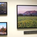 A sampling of Detricks scenic photography decorates the school office wall. (Photo courtesy of Abbey Cantrell)