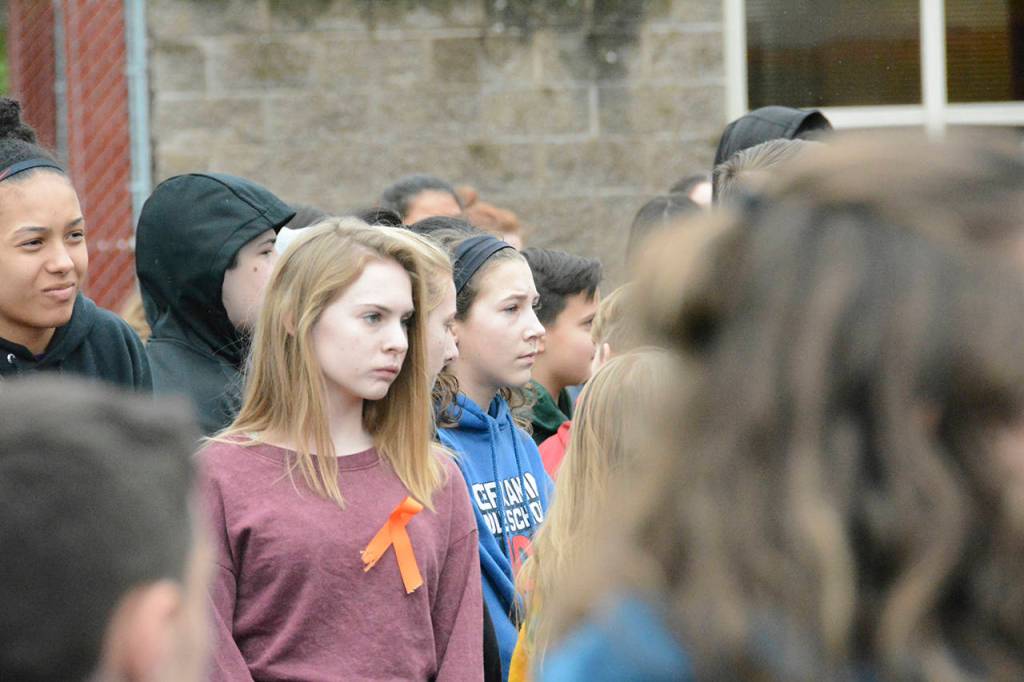 Students throughout the region take part in National School Walkout, call for gun control