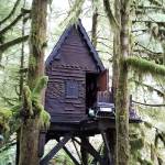 Man charged after child porn found in Snoqualmie National Forest tree house