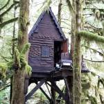 The cabin is located 8 miles up SE Middle Fork Road and is known within the hiking community. (King County Sheriff’s Office)