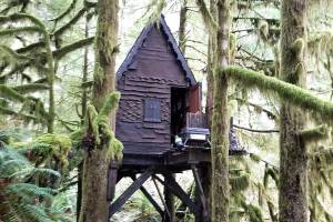 The cabin is located 8 miles up SE Middle Fork Road and is known within the hiking community. (King County Sheriff’s Office)