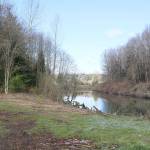 One of empty parcels in the Riverfront Reach right next to the Snoqualmie River. The city hopes to make riverbank improvements along the property they acquire. Evan Pappas/Staff Photo