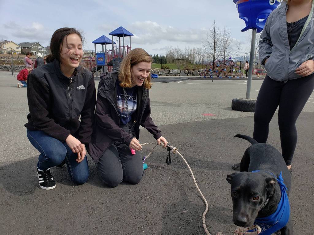 Mackenzie Saunders and Carly Lane play with Mimzy at the Bark for Life event. Evan Pappas/staff photo
