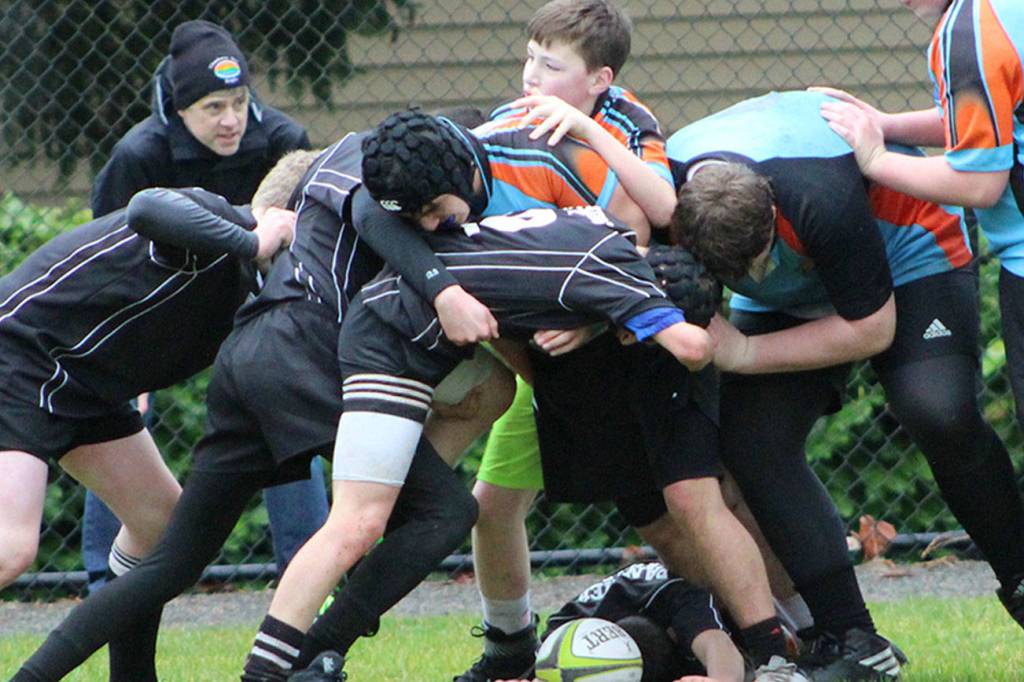 It’s a rugby time of year