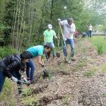 Valley volunteers help remove invasive plants from Stillwater Bog
