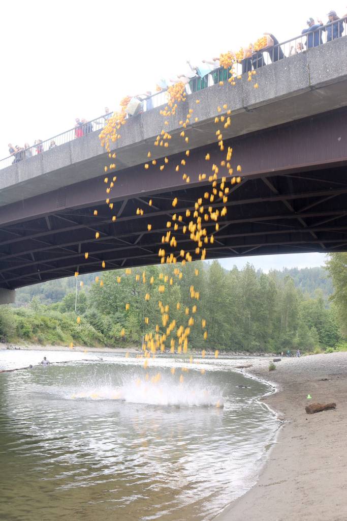 The rubber ducks are tossed into the river for at this years annual Duck Derby. Evan Pappas/Staff Photo