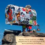 Photo courtesy of King County