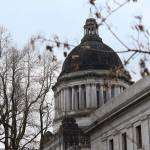 Wyman addresses accusations of deceptive signature-gathering