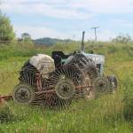 The many hurdles from farm to table