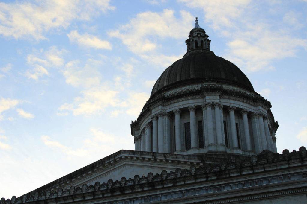 State Supreme Court ruling highlights petition requirements