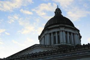 State Supreme Court ruling highlights petition requirements