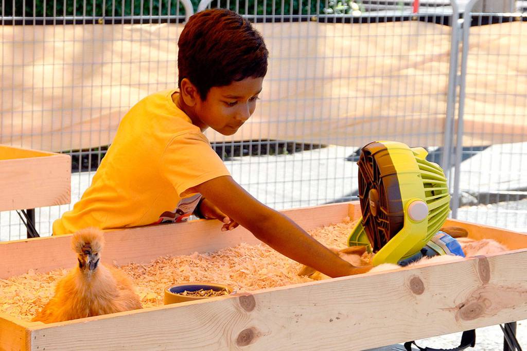 North Bend Block Party begins Saturday, July 21