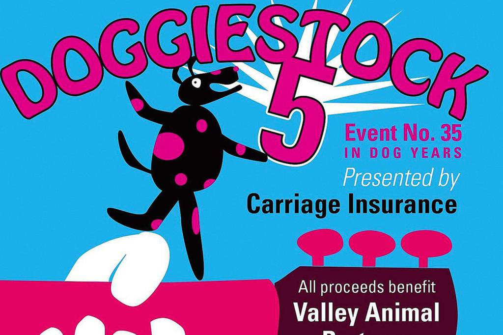 DoggieStock music festival to raise funds for local pets