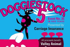 DoggieStock music festival to raise funds for local pets