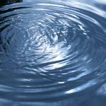 A spill at the Kinsey Pond catch basin, which the city of Snoqualmie reported to the Department of Ecology on July 17, did not impact the public or wildlife, according to the test results. Courtesy photo