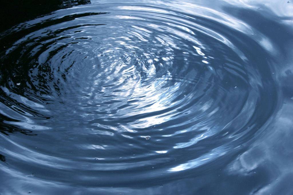 A spill at the Kinsey Pond catch basin, which the city of Snoqualmie reported to the Department of Ecology on July 17, did not impact the public or wildlife, according to the test results. Courtesy photo