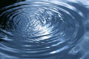 Snoqualmie pond spill did not impact public or wildlife, results show