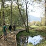 A bridge crafted by Eagle Scouts leads from the street-side open space of the property to the more heavily forested area. Evan Pappas/Staff Photo