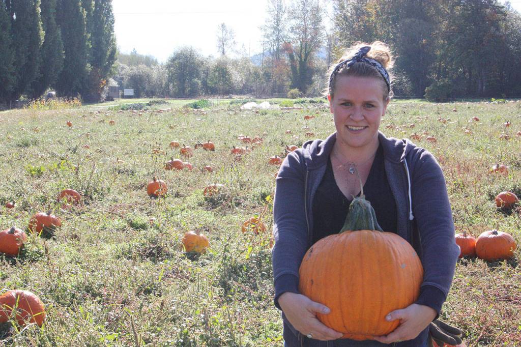 Where to pick up a pumpkin this October