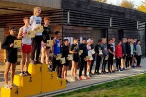 Wildcats qualify for state cross country meet