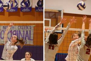 Wildcats swing away at 4A KingCo tourney