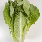 Romaine lettuce, beef recalled just before Thanksgiving