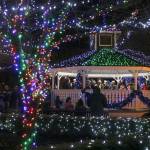 Lights cover the gazebo at Railroad Park. Evan Pappas/Staff Photo