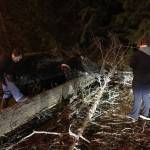 Residents on Finn Hill in Kirkland work together to trim branches off of a felled tree that landed in their complex parking lot during a windstorm on Dec. 14. Samantha Pak/staff photo