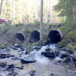 An example of a under-road passage way for river water along Grouse Ridge Road, just outside of North Bend. Courtesy Photo