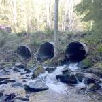 Department of Natural Resources plans road improvements east of North Bend