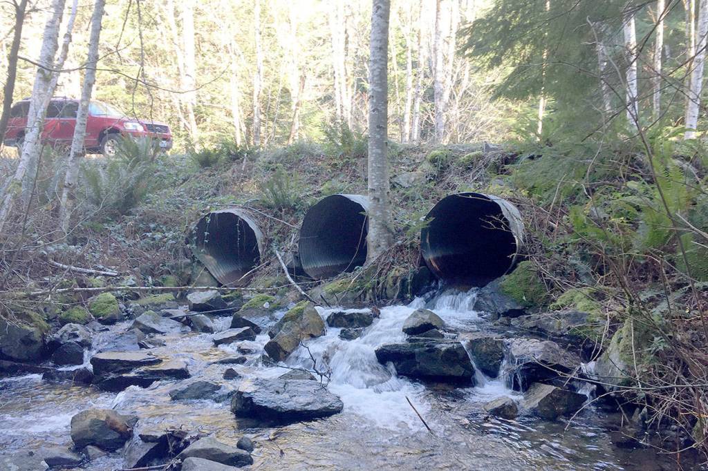 Department of Natural Resources plans road improvements east of North Bend