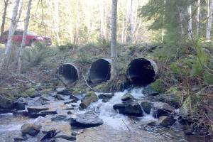 Department of Natural Resources plans road improvements east of North Bend