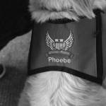 On the back of her work vest, Phoebes name is visible. Ashley Hiruko/staff photo.