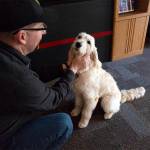 Phoebe gets loved on. Ashley Hiruko/staff photo.