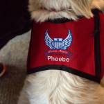 On the back of her work vest, Phoebes name is visible. Ashley Hiruko/staff photo.