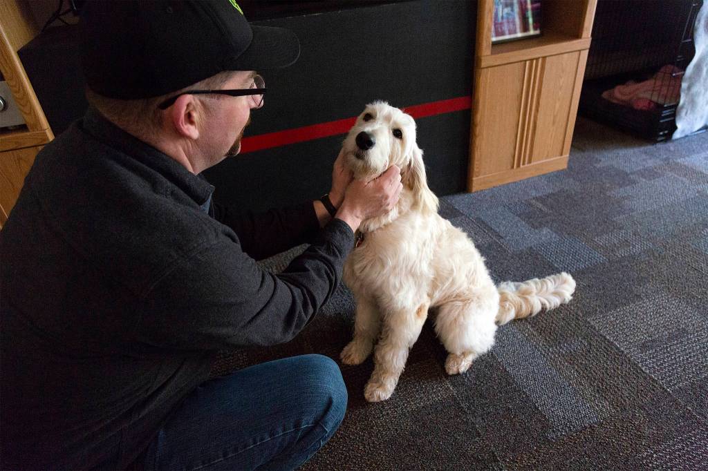 Phoebe gets loved on. Ashley Hiruko/staff photo