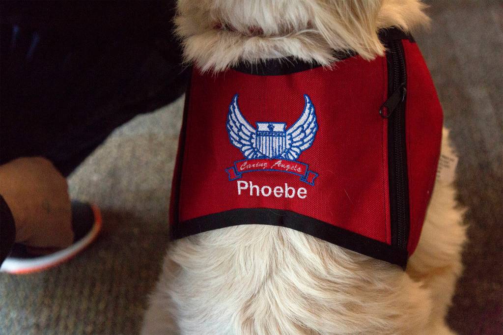 On the back of her work vest, Phoebes name is visible. Ashley Hiruko/staff photo.