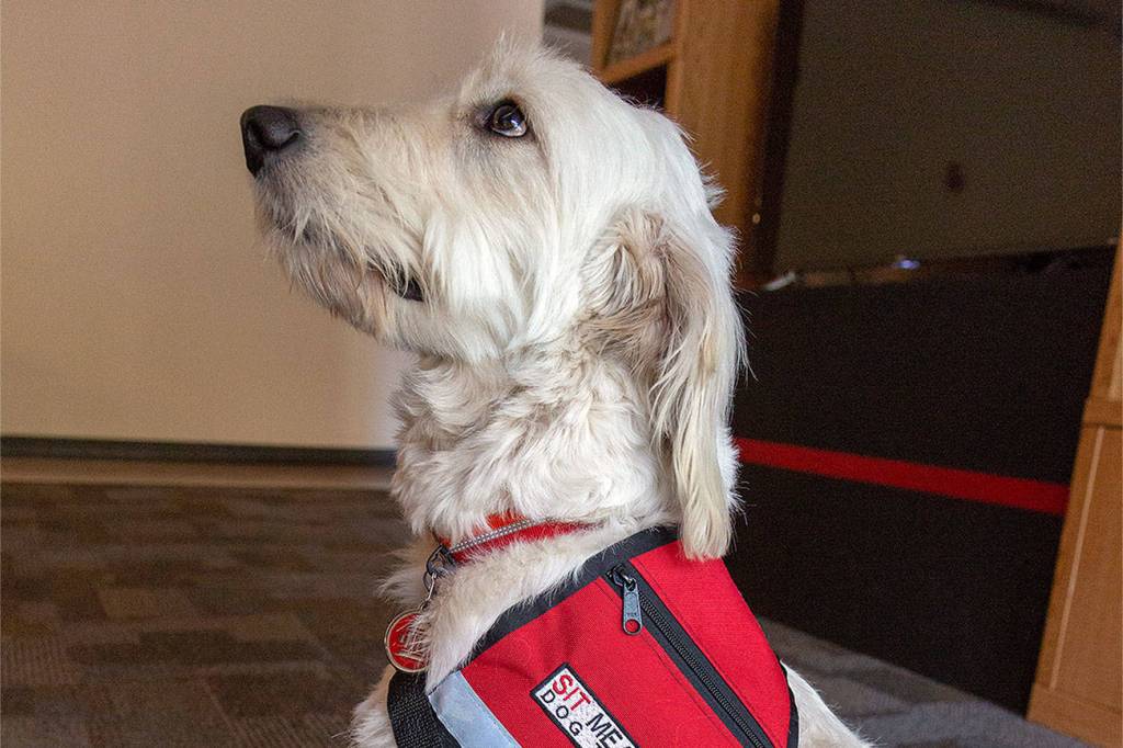 Snoqualmie Fire Department welcomes new therapy dog