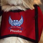 Snoqualmie Fire Department welcomes new therapy dog