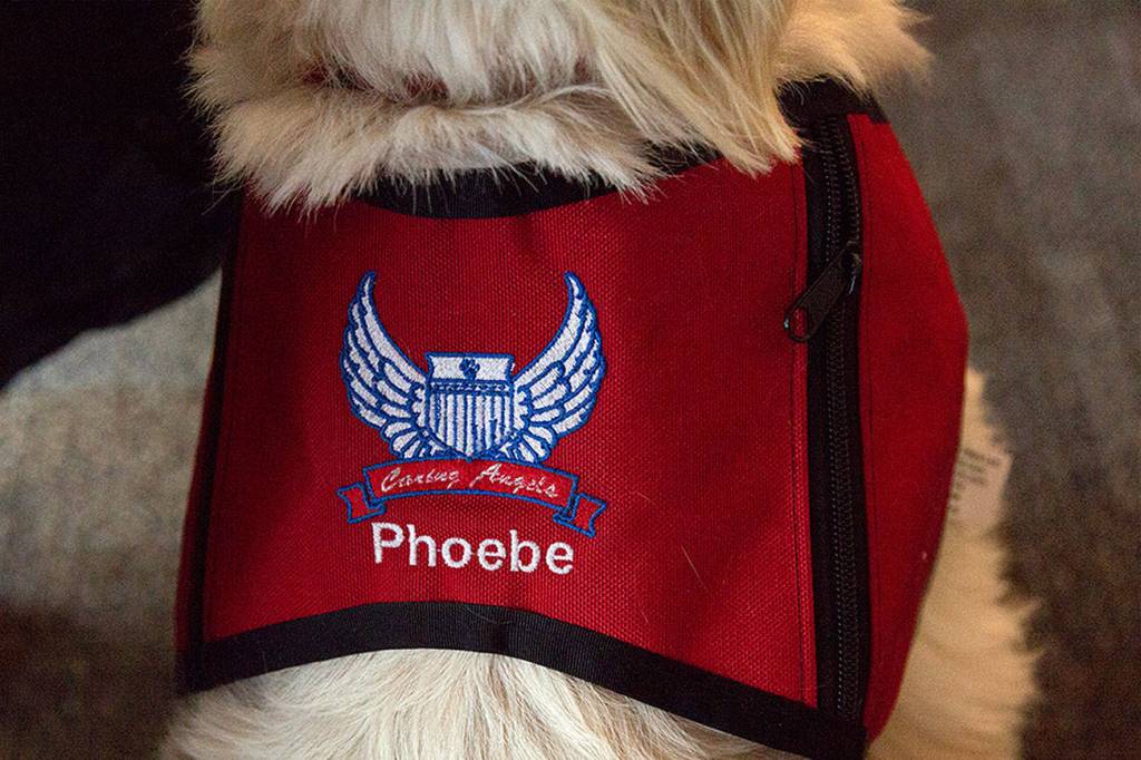 Snoqualmie Fire Department welcomes new therapy dog