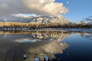 Photo courtesy of Roberto Ross